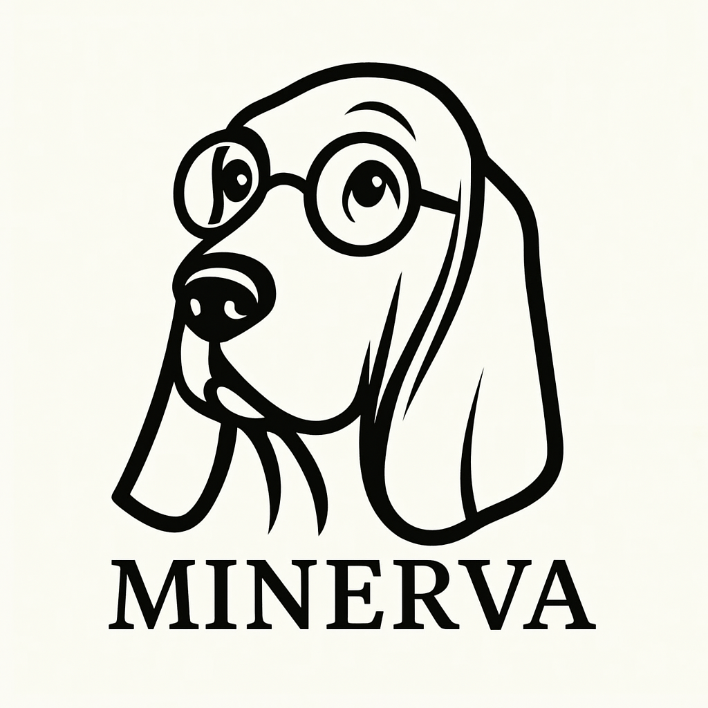 Abrir Chatbot Minerva